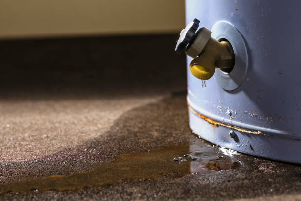 Best Flood damage cleanup  in Neptune City, NJ