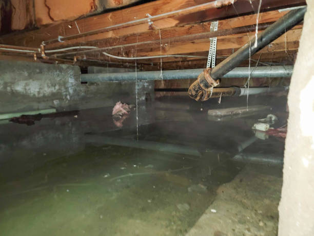 Best Emergency water damage restoration  in Neptune City, NJ