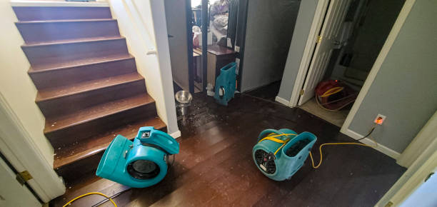 Best Carpet water damage restoration  in Neptune City, NJ