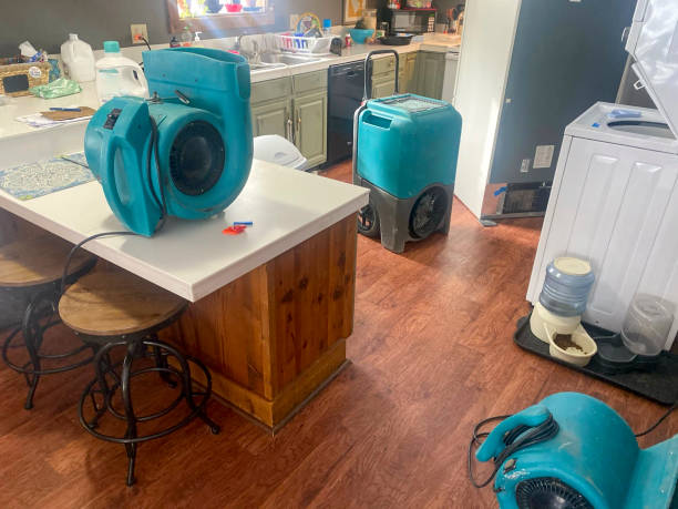 Best Water damage cleanup near me  in Neptune City, NJ
