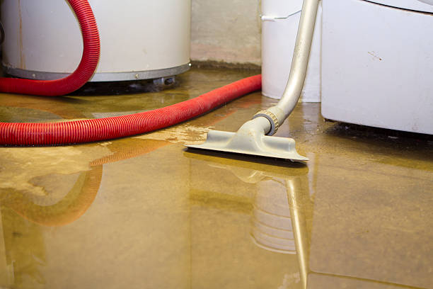 Best Professional water damage repair  in Neptune City, NJ