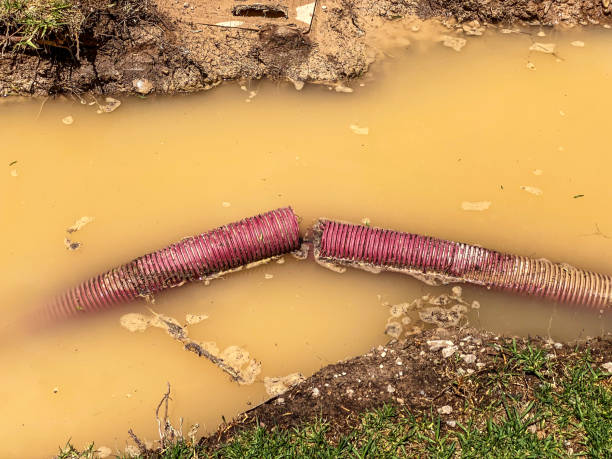 Best 24-hour water damage restoration  in Neptune City, NJ