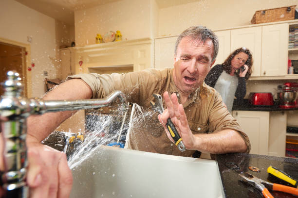 Best Mold removal after water damage  in Neptune City, NJ